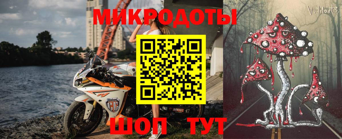 Галлюциногенные грибы Psilocybine cubensis Богородск