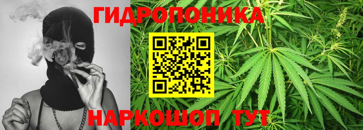 Бошки Шишки план  Канабис индика  Конопля гибрид  Богородск  Вход с VPN  МАРИХУАНА конопля 
